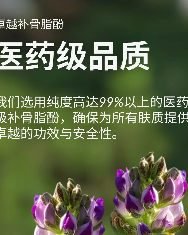 #show-lang-zh-cn #all-groups