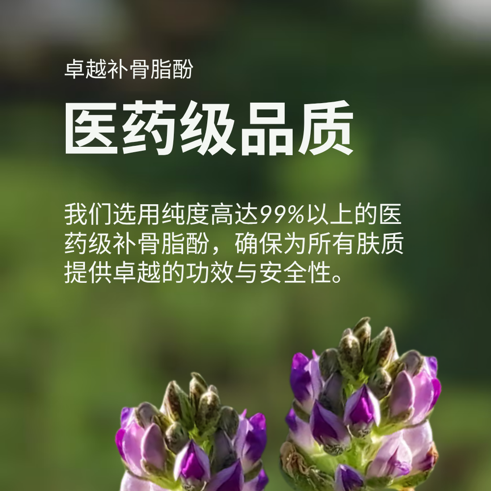 #show-lang-zh-cn #all-groups