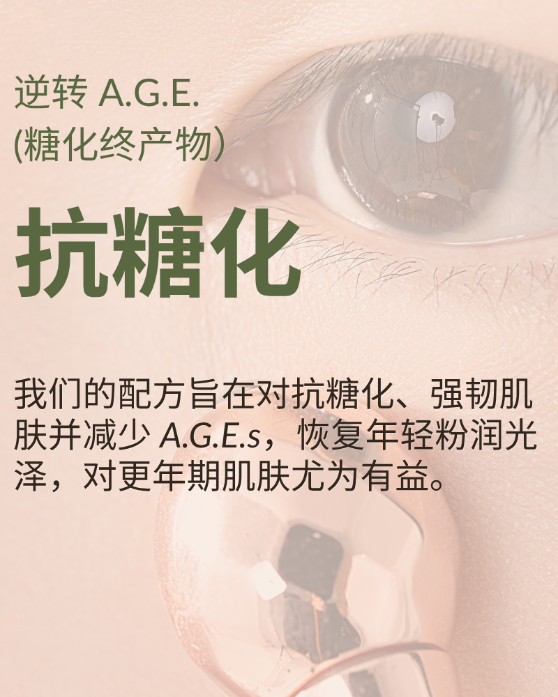 #show-lang-zh-cn #all-groups