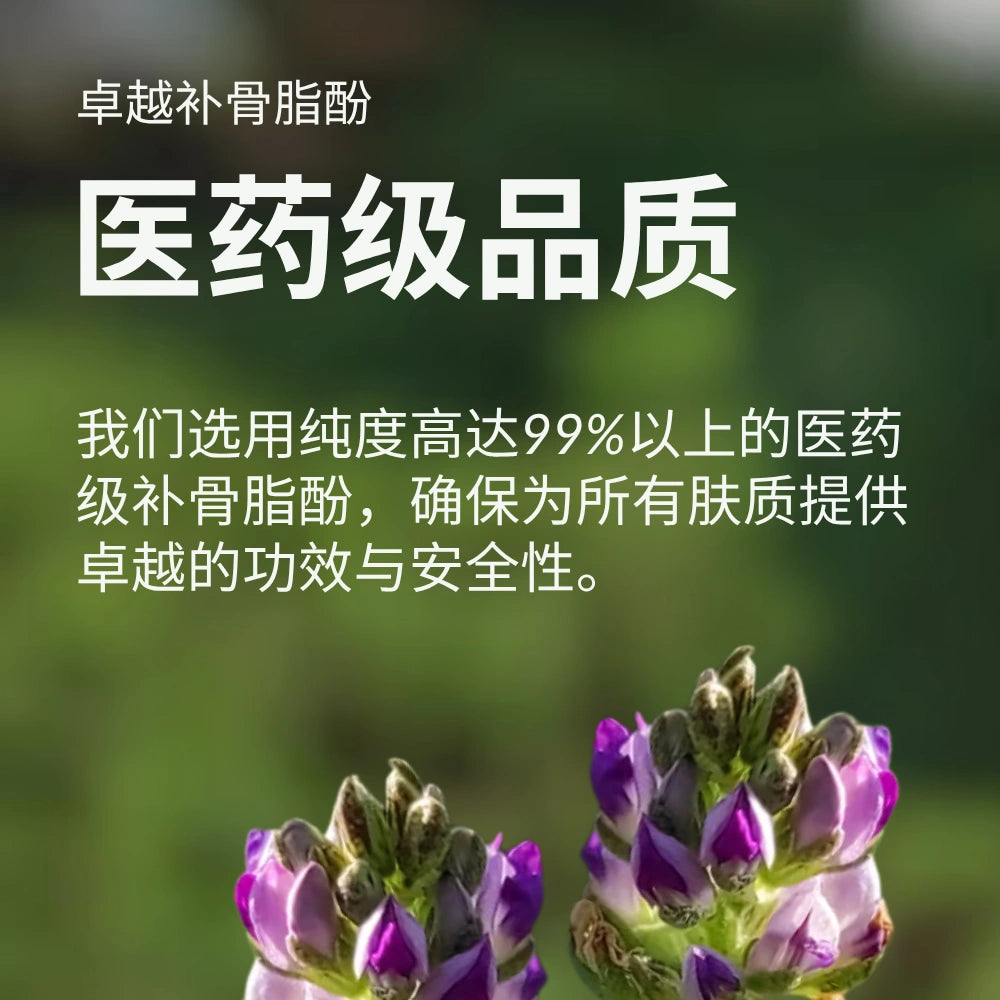 #show-lang-zh-cn #all-groups